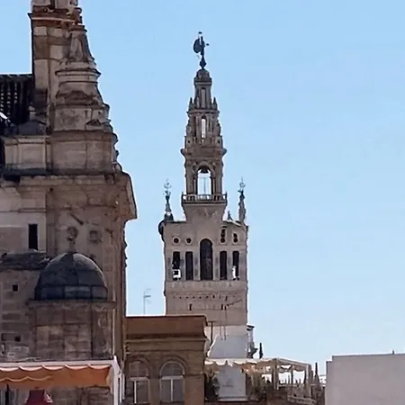 Daire Atico Centrico Con Balcones Y Vistas A La Giralda Sevilla